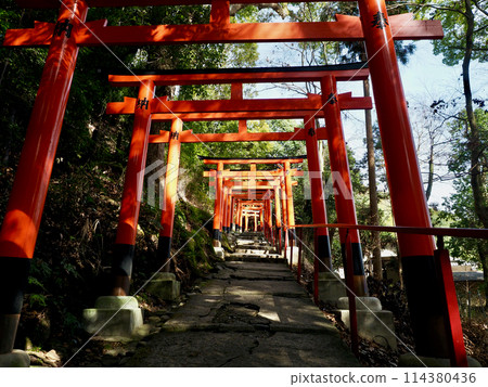 紅色牌坊 114380436