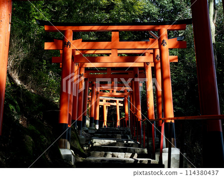 Red torii 114380437