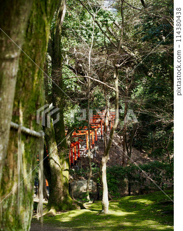 紅色牌坊 114380438