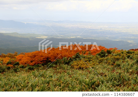 月山八合正值秋季。 114380607