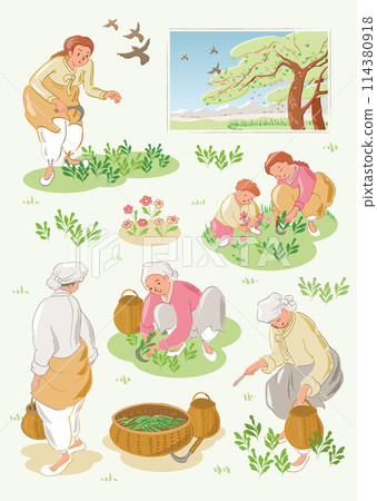 Vector Illustration of Women and Children Harvesting Korean Edible Wild Plants on a Warm Spring Day, Template design for stickers and icons 114380918