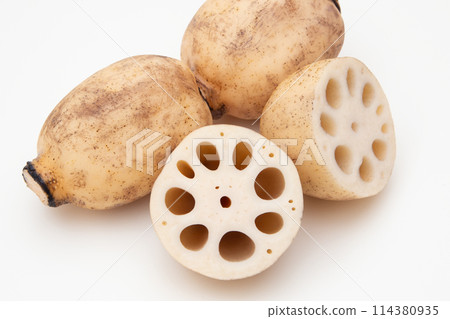 Lotus root lotus root 114380935