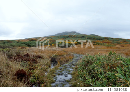 月山八合目正值秋天。 114381088