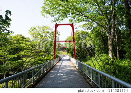 櫻淵公園（愛知縣新城市） 114381334