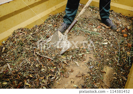 man takes out plant remains from a container man takes out plant remains from a container 114381452