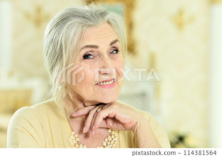 Portrait of happy senior woman posing at home Portrait of happy senior woman posing at home 114381564