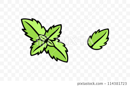 Mint and spearmint, herb, mint leaves, graphic design. Spice, menthol, peppermint, leaf and leaves, vector design and illustration 114381723