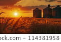 A field of golden wheat with two silos in the background 114381958