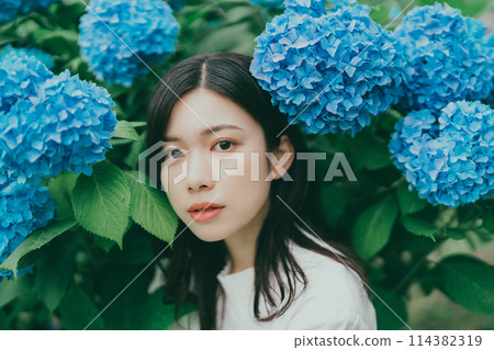 繡球花和年輕女子 114382319