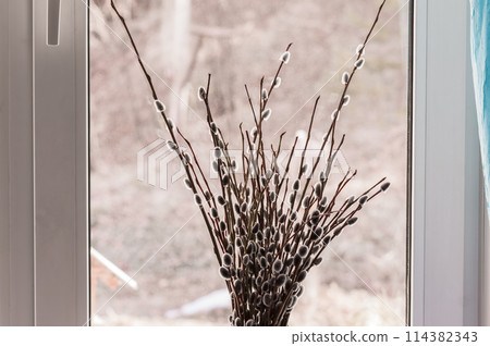 Bouquet of willow branches in a vase on the windowsill Bouquet of willow branches in a vase on the windowsill 114382343