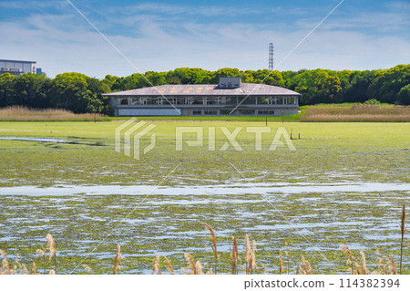 Yatsu tidal flat (Narashino City, Chiba Prefecture) 114382394