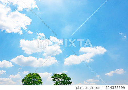 初夏的藍天和小樹林 初夏的藍天和小樹林 114382399
