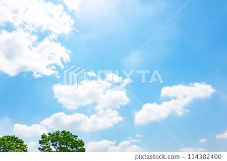 初夏的藍天和小樹林 初夏的藍天和小樹林 114382400
