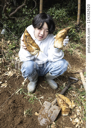 Children enjoying digging for bamboo shoots in spring Children enjoying digging for bamboo shoots in spring 114382620