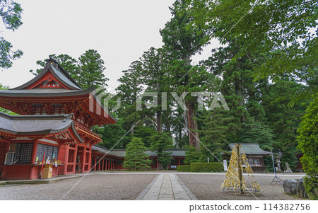 Scenery of the grounds of Katori Shrine in Chiba 114382756