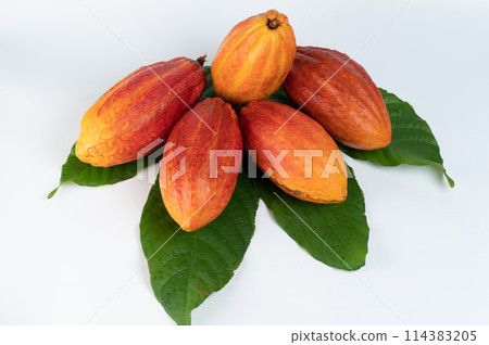 Set of orange color cacao pods Set of orange color cacao pods 114383205