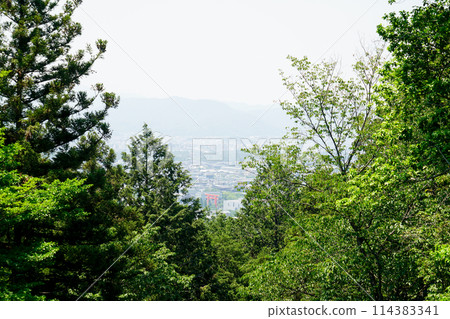 Heian Shrine as seen from Hyuga Taisha Shrine Heian Shrine as seen from Hyuga Taisha Shrine 114383341