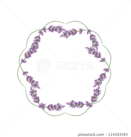 Lavender flowers, purple and violet round frame. Wildflower wreath, vintage floral design. Botanical hand drawn watercolor illustration template for wedding invitation, cards, gift tags, bridal design Lavender flowers, purple and violet round frame. Wildflower wreath, vintage floral design. Botanical hand drawn watercolor illustration template for wedding invitation, cards, gift tags, bridal design 114383565