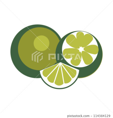 a set of illustrations of limes on a white background hand-drawn a set of illustrations of limes on a white background hand-drawn 114384129