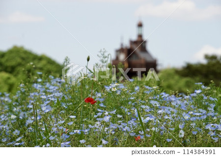 Ghibli Park Elevator Tower 114384391