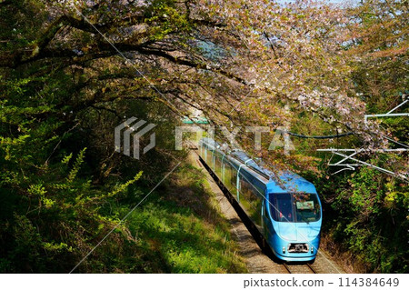 Cherry blossoms and the MSE Romancecar 114384649