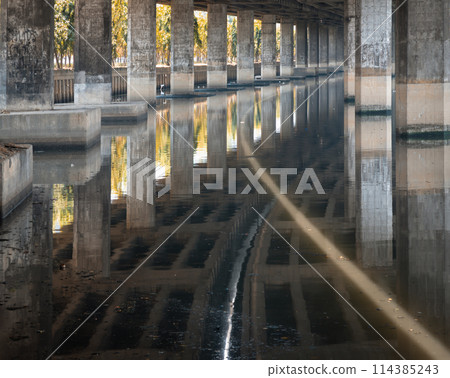 Perspective view of concrete pillars under Khlong Toei Expressway. 114385243