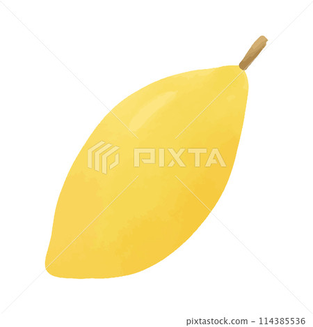 Watercolor vector illustration of a lemon in childish style. 114385536