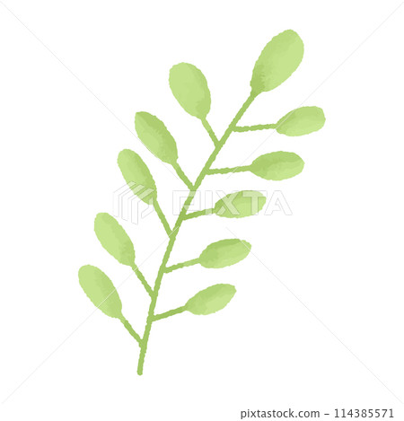 Watercolor vector illustration of a leaf in childish style. Watercolor vector illustration of a leaf in childish style. 114385571