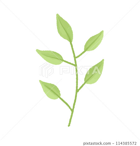 Watercolor vector illustration of a leaf in childish style. Watercolor vector illustration of a leaf in childish style. 114385572