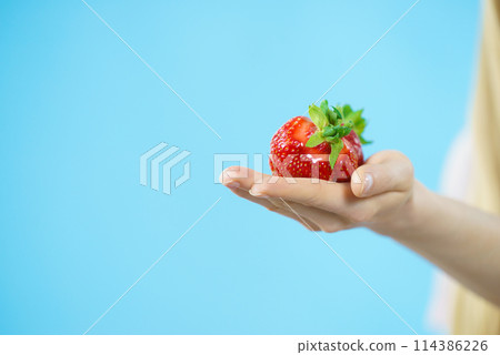 Fresh red strawberry on palm 114386226