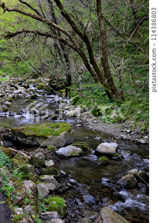 One of Japan's 100 Best Waterfalls, Katsuyama, Kanba Falls, mountain stream, Maniwa City, Okayama Prefecture 114386803