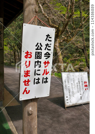 日本瀑布百選：勝山、關波瀑布、玉俁瀑布、岡山縣真庭市、目前沒有猴子 114386889