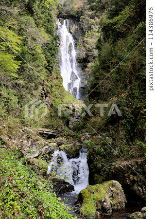 日本瀑布百選 勝山關場瀑布 岡山縣真庭市 日本瀑布百選 勝山關場瀑布 岡山縣真庭市 114386976
