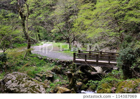 日本瀑布百選 勝山關場瀑布 岡山縣真庭市 114387069