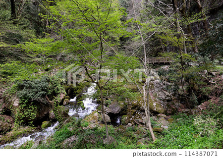 日本瀑布百選 勝山關場瀑布 岡山縣真庭市 114387071