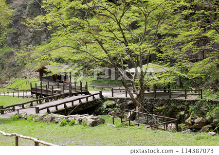 日本瀑布百選 勝山關場瀑布 岡山縣真庭市 日本瀑布百選 勝山關場瀑布 岡山縣真庭市 114387073