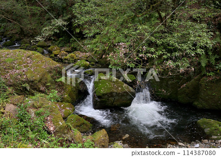 One of Japan's 100 Best Waterfalls: Katsuyama Kanba Falls, Maniwa City, Okayama Prefecture 114387080