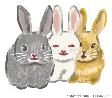 Three friendly rabbits 114387096