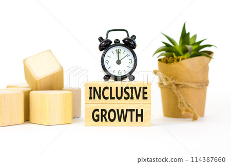 Inclusive growth symbol. Concept words Inclusive growth on beautiful wooden blocks. Beautiful white table white background. Black alarm clock. Business inclusive growth concept. Copy space. Inclusive growth symbol. Concept words Inclusive growth on beautiful wooden blocks. Beautiful white table white background. Black alarm clock. Business inclusive growth concept. Copy space. 114387660