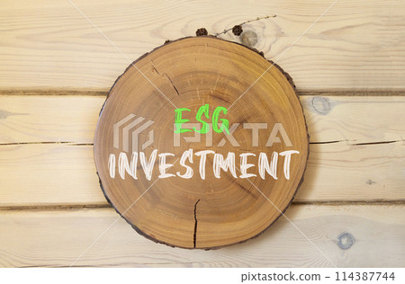 ESG environmental social governance investment symbol. Concept words ESG investment on beautiful wooden circle. Beautiful wooden wall background. Business ESG investment concept. Copy space. ESG environmental social governance investment symbol. Concept words ESG investment on beautiful wooden circle. Beautiful wooden wall background. Business ESG investment concept. Copy space. 114387744