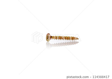 macro screw of golden color on a white background macro screw of golden color on a white background 114388417