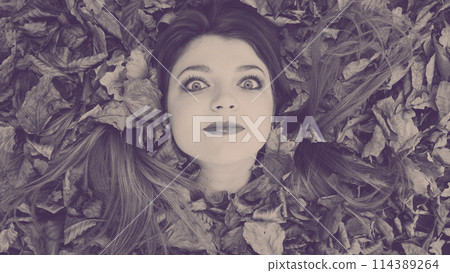 Filtered picture with young lady in the leaves. Filtered picture with young lady in the leaves. 114389264