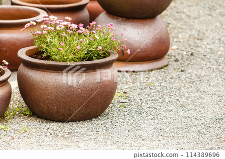 Old fashioned ceramic clay vases bowls Old fashioned ceramic clay vases bowls 114389696