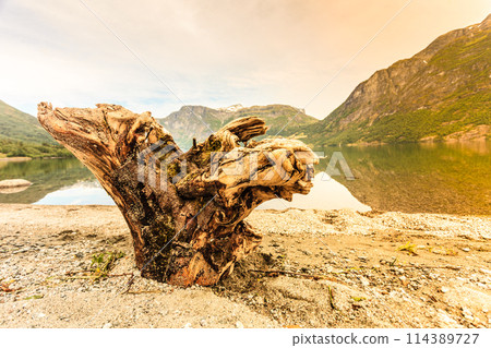 Mountains and fjord in Norway, Mountains and fjord in Norway, 114389727