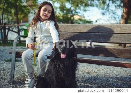 Little child girl walking her cocker spaniel dog, sitting on bench and plying with her pet in the nature Little child girl walking her cocker spaniel dog, sitting on bench and plying with her pet in the nature 114390044