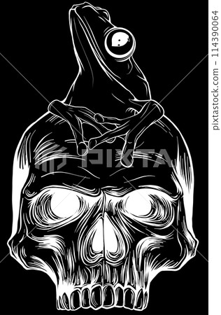 white silhouette of frog on human skull vector illustration design on black background white silhouette of frog on human skull vector illustration design on black background 114390064