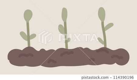 Seedling growing in garden soil in flat design. Vegetable farming process. Vector illustration isolated. Seedling growing in garden soil in flat design. Vegetable farming process. Vector illustration isolated. 114390196