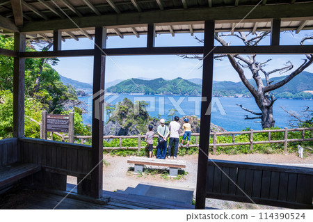 五石海岸，一家人從觀景台眺望岩手縣阿納通磯 114390524
