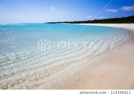 Sea of Yoron Island 114390811
