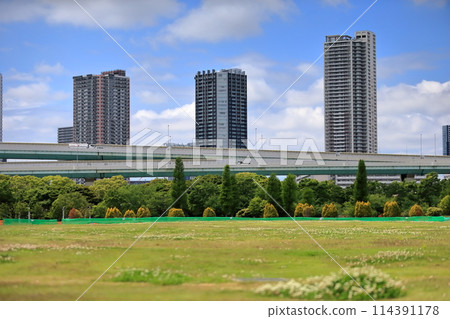辰巳之森海濱公園風景(東京都江東區) 辰巳之森海濱公園風景(東京都江東區) 114391178